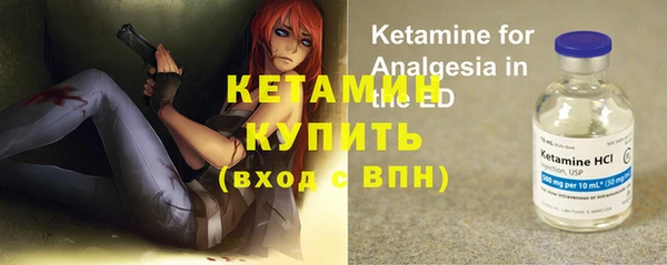 стаф Арсеньев