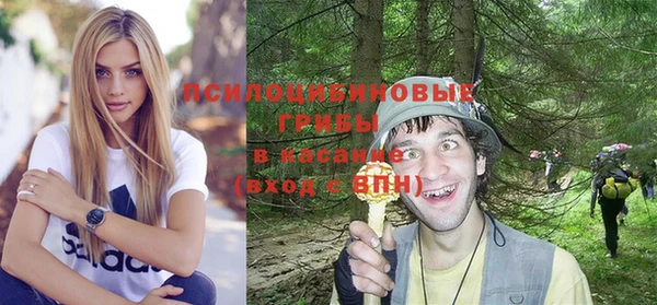 spice Алексин