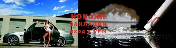 стаф Арсеньев