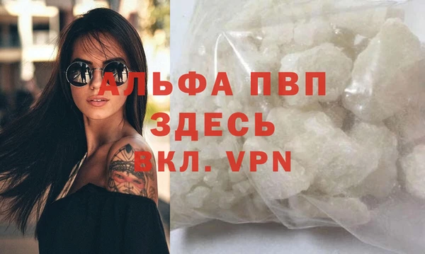 стаф Арсеньев